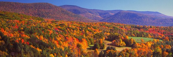 guinnessstache Profile Banner