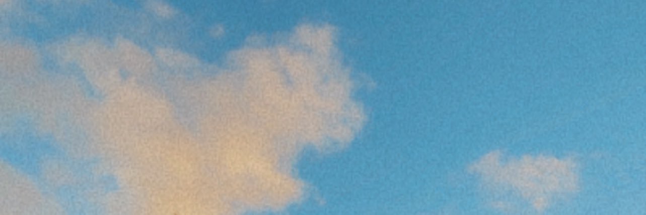Natasha Grove banner