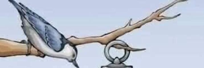 Rita Gossen banner