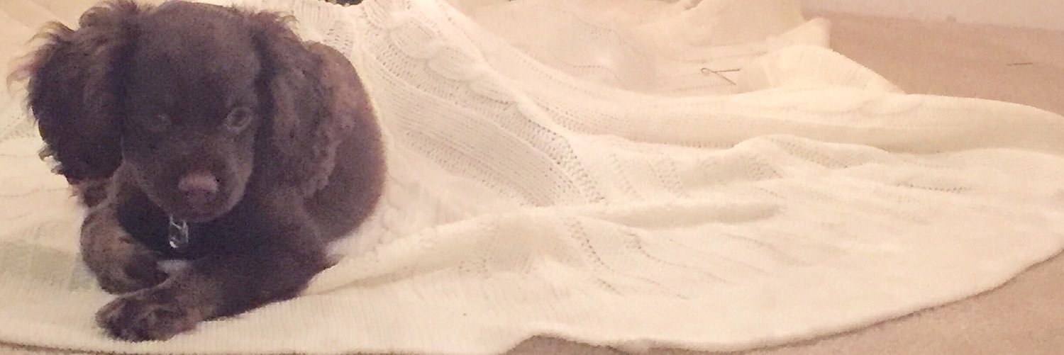 Kt__kc's profile banner image