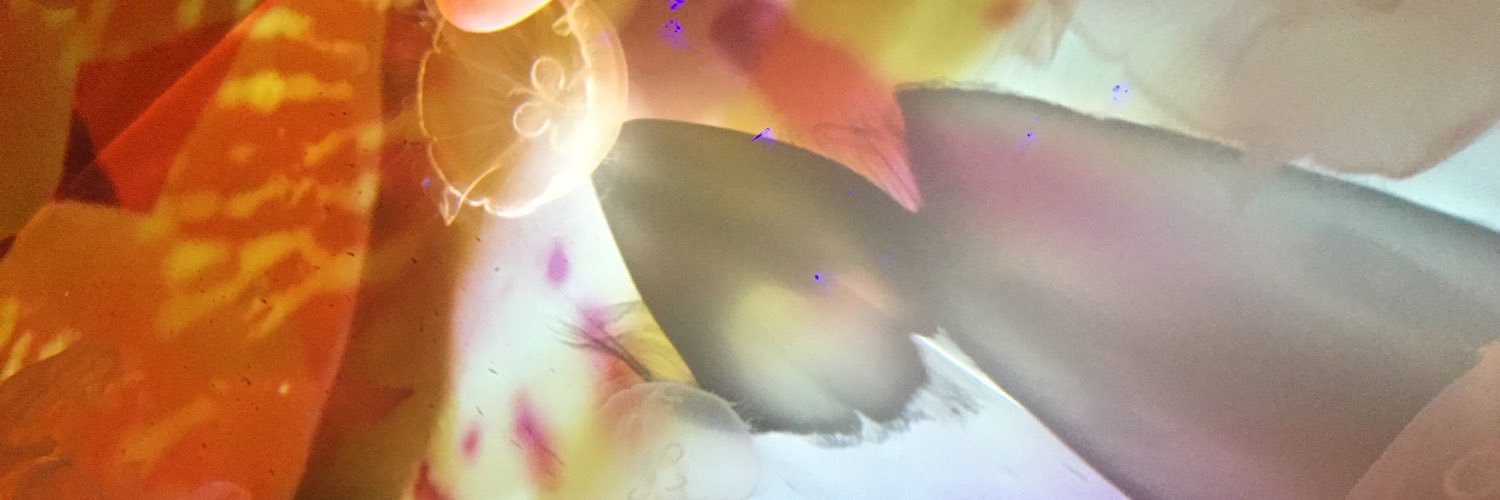 8hkr8's profile banner image