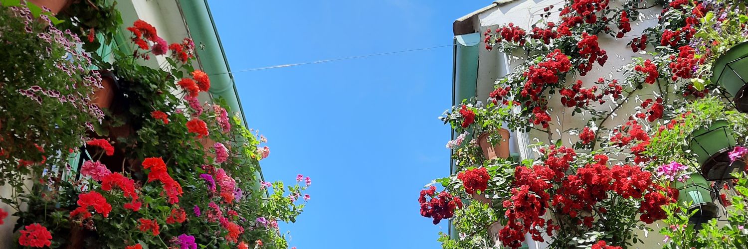 abarpoz's profile banner image