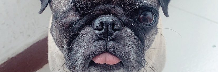 Camilo_GomezJ's profile banner image