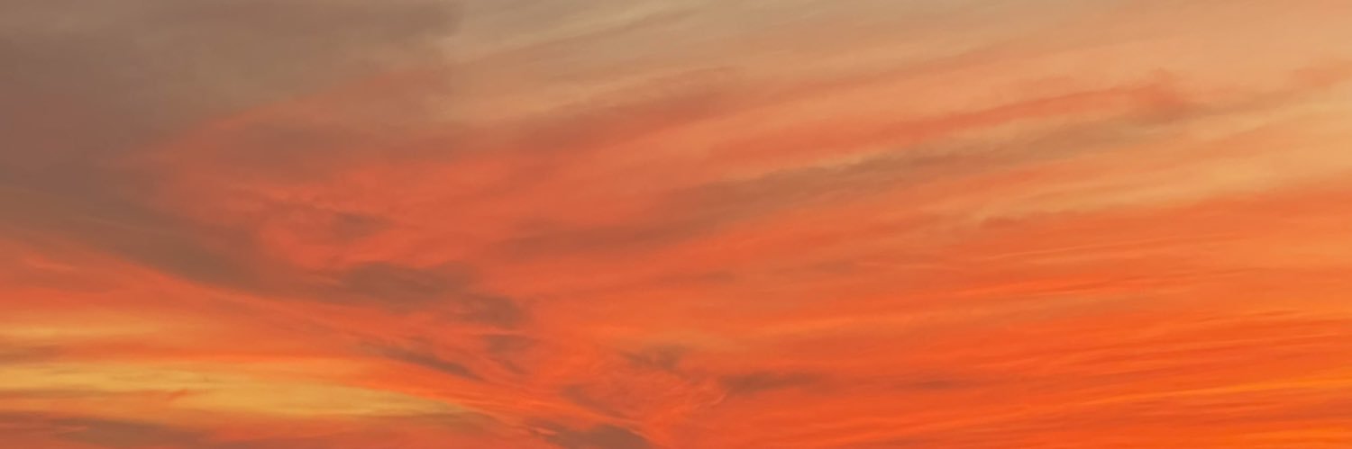 HoqqᴉʇΙᴉʇʇΙǝ_d 🪐 banner