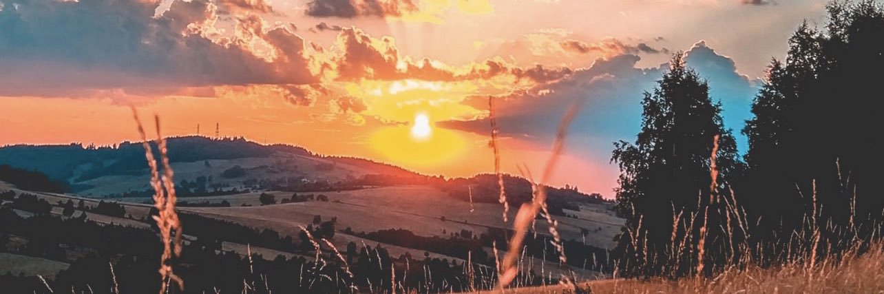 lexi_henricks's profile banner image