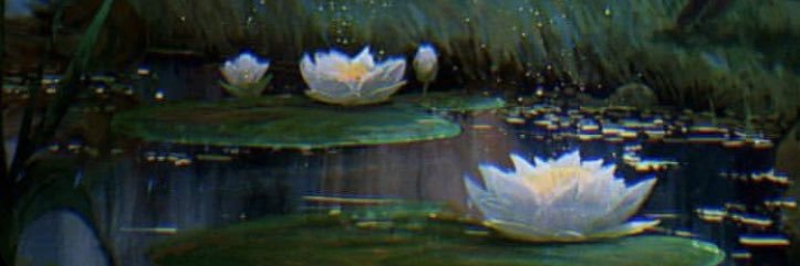 irieshawty's profile banner image
