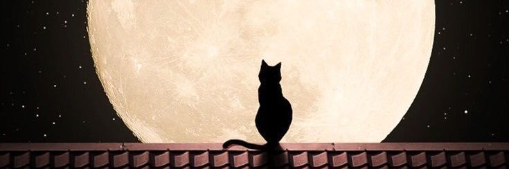 Unique_Mermaid's profile banner image