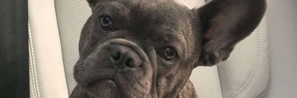 kFarm17's profile banner image