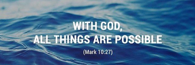 Hamilton Bunga banner