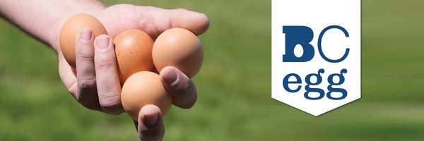 bceggs Profile Banner