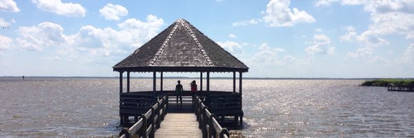 MickyD15 Profile Banner