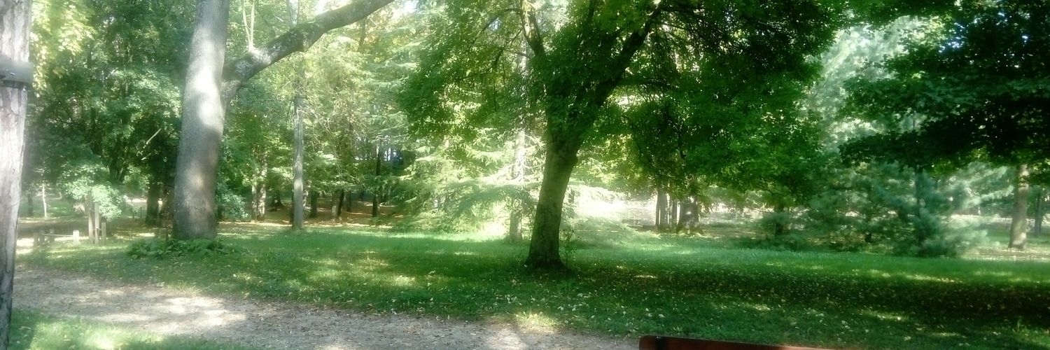 ThomasGenaille's profile banner image