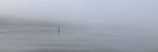 davegillis Profile Banner