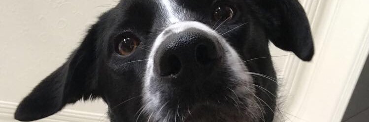 leennnnna's profile banner image