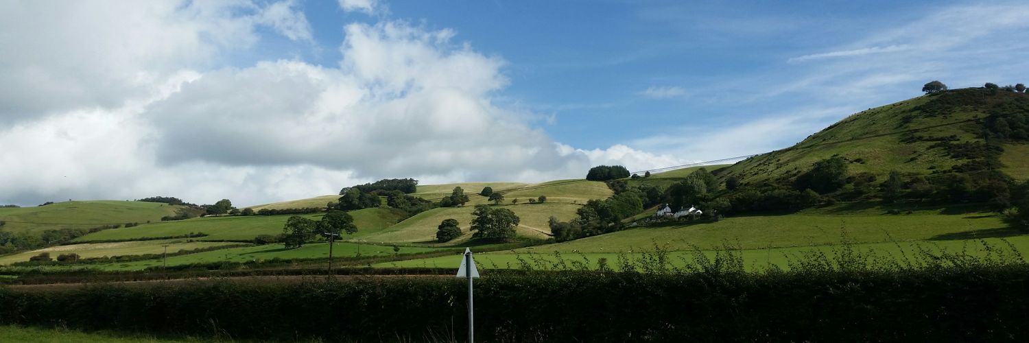 dy_webb's profile banner image