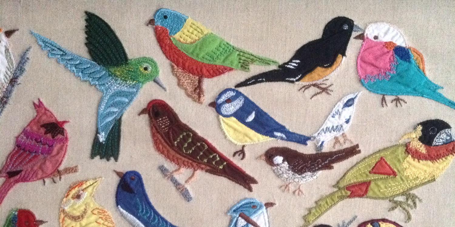 Dr. Erin P. Dooley 💻🐒 banner