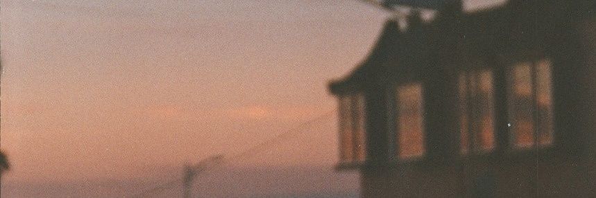 canomayee's profile banner image