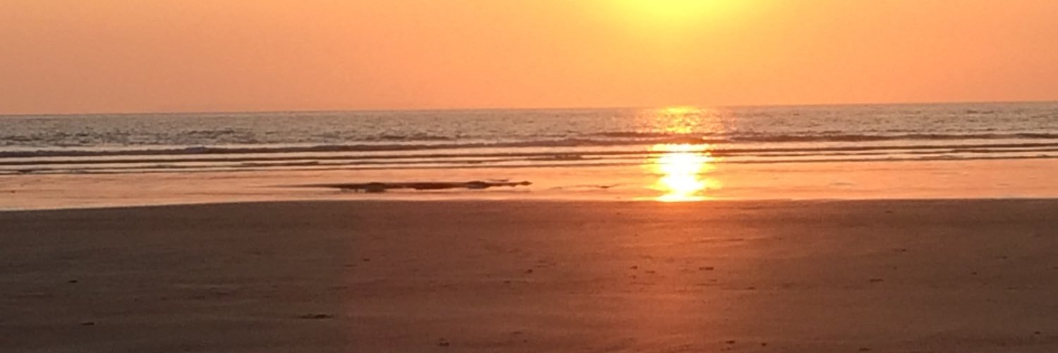 GemSear's profile banner image
