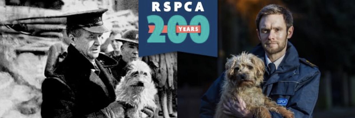 Anthony Joynes banner