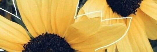 arandzaa's profile banner image