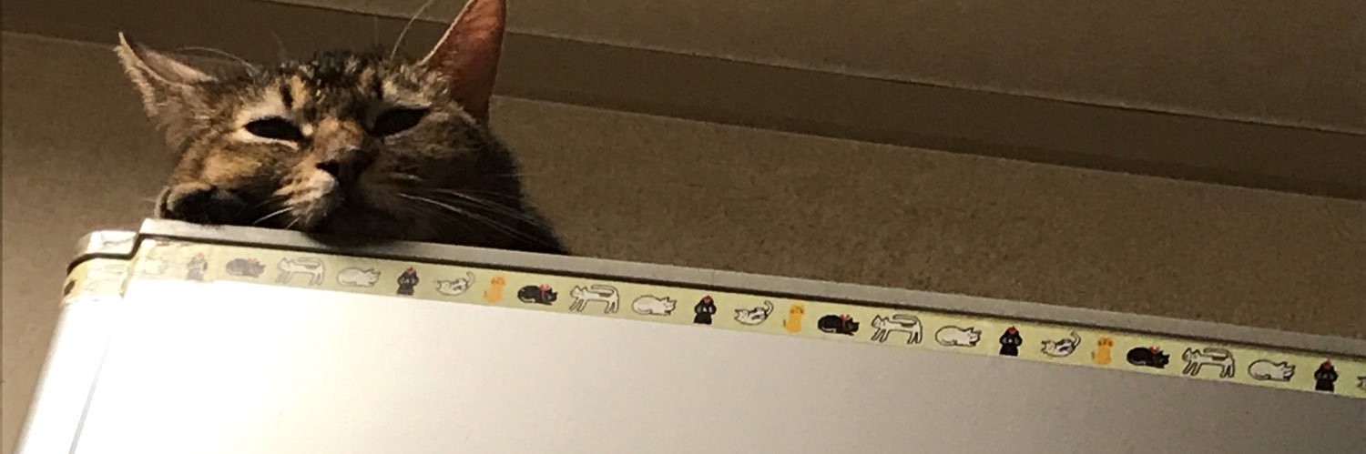 debeko2000's profile banner image