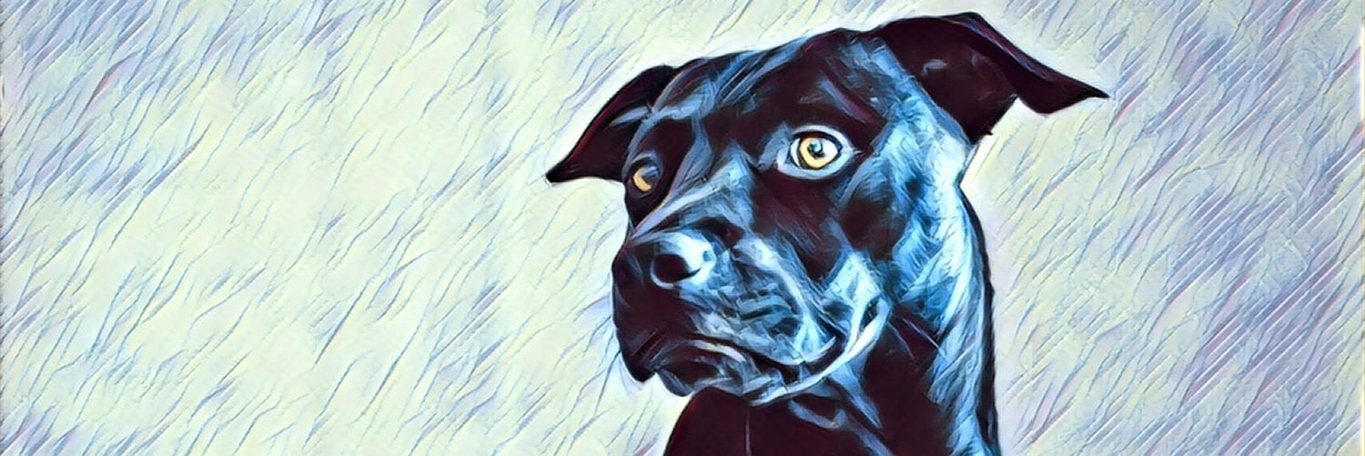jasonmandelli's profile banner image