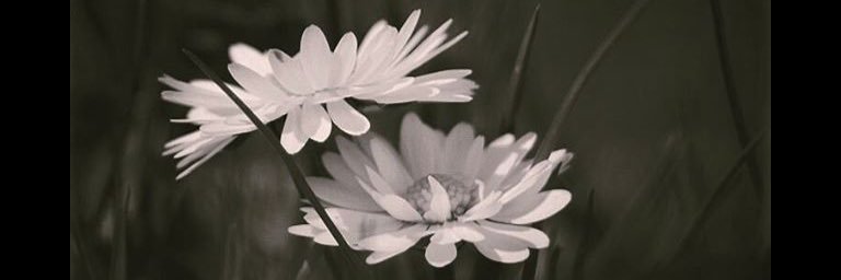Miyamn34's profile banner image