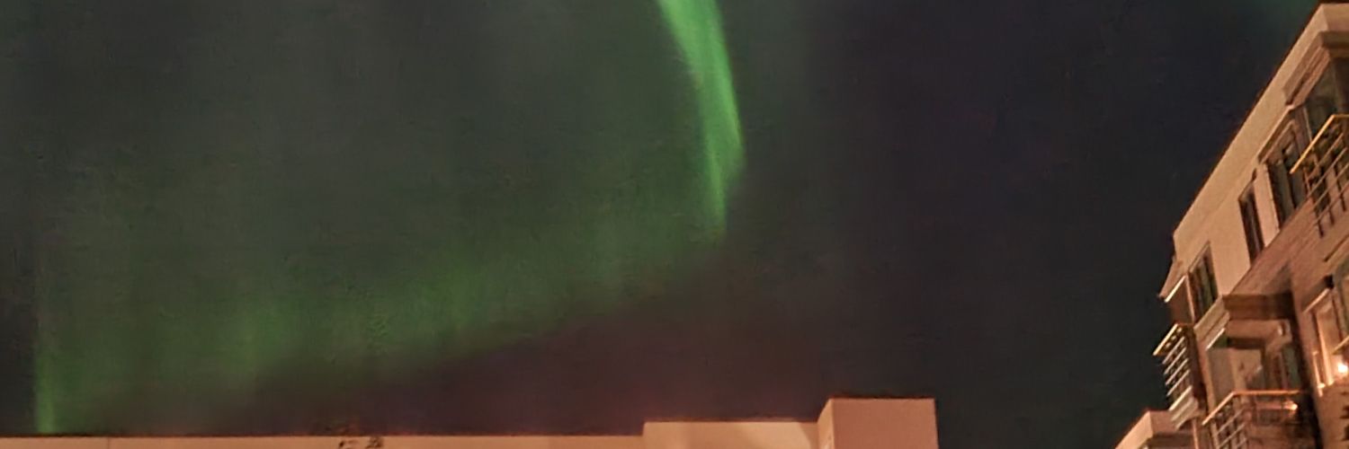 carolmoisess's profile banner image
