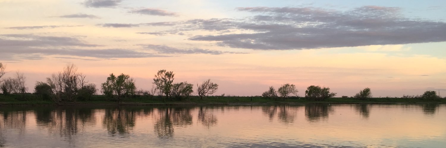 ValeCignetti's profile banner image