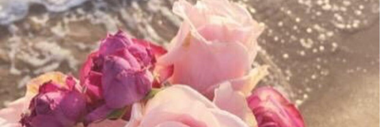 hawash1402's profile banner image