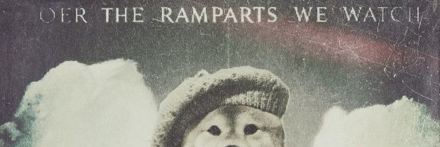 Leafylizard's profile banner image