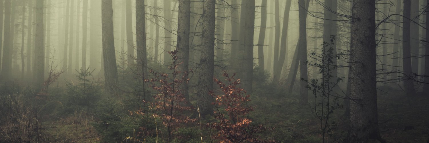 Vincent Létourneau banner