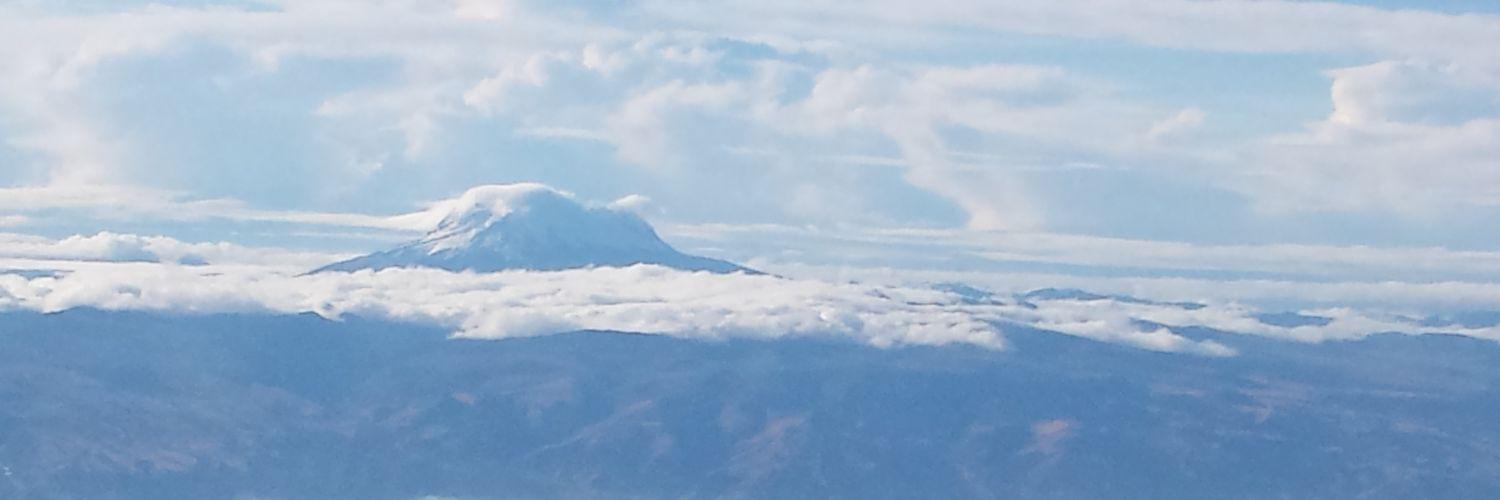 patty_p77's profile banner image
