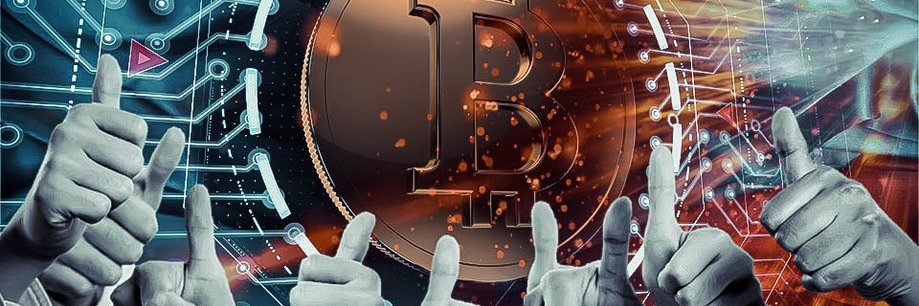 Tripp1o's profile banner image