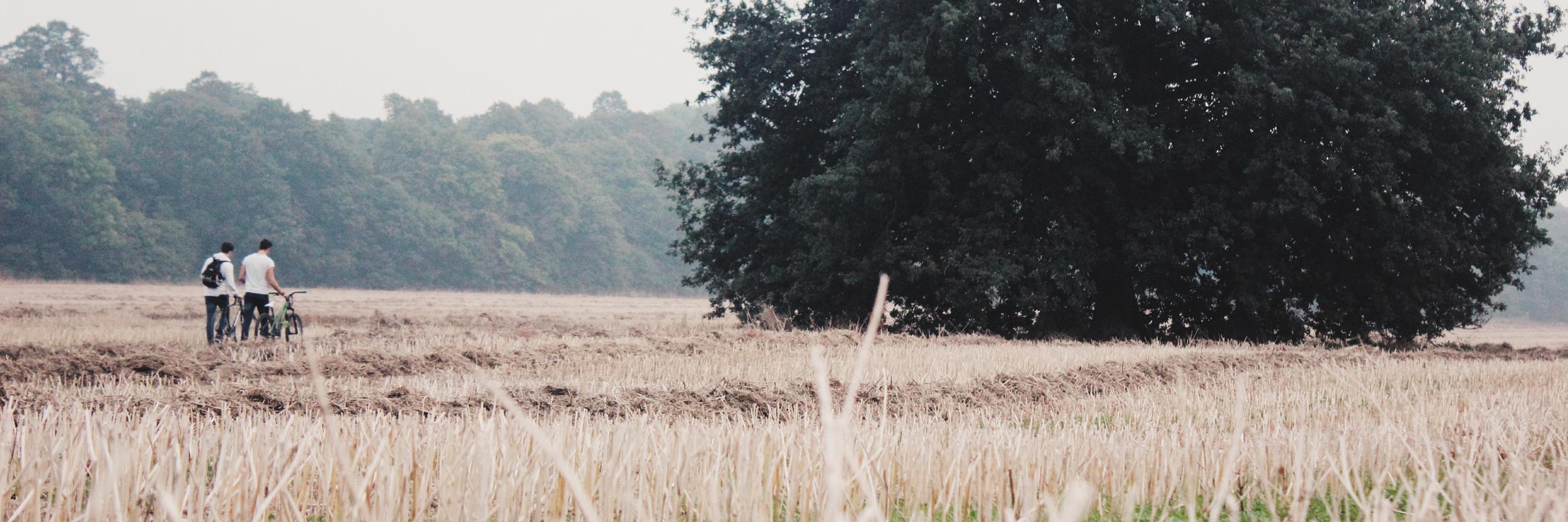 Faz_DanFarrow's profile banner image