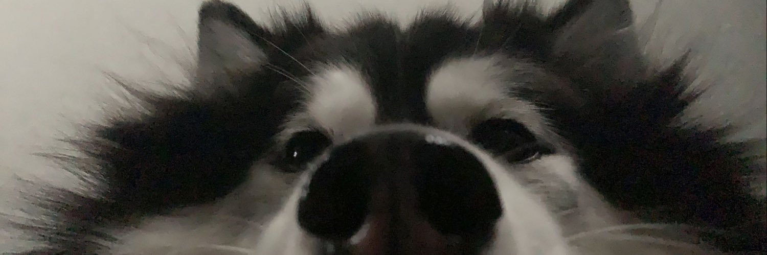 HaleyMRivera's profile banner image