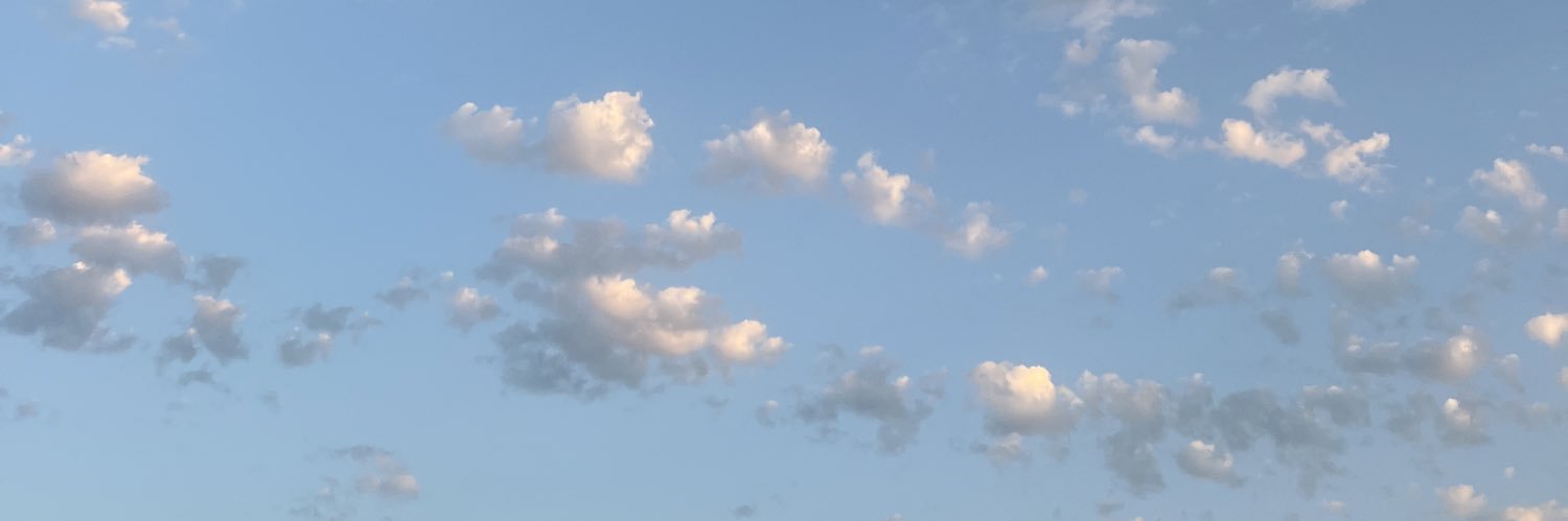 kiwi_br9's profile banner image