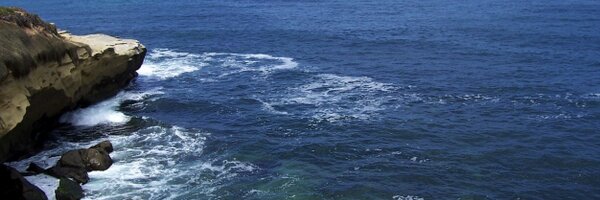 kinghaiku Profile Banner