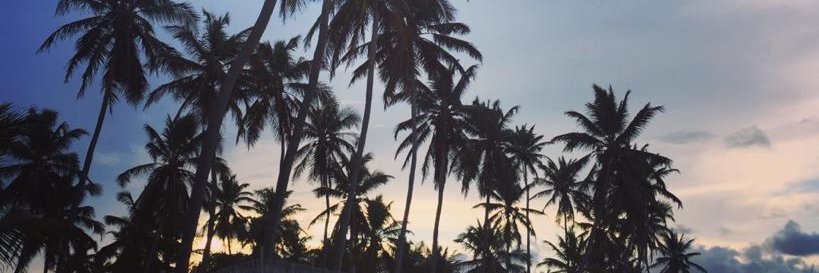 Isabelle Moreira Lima banner