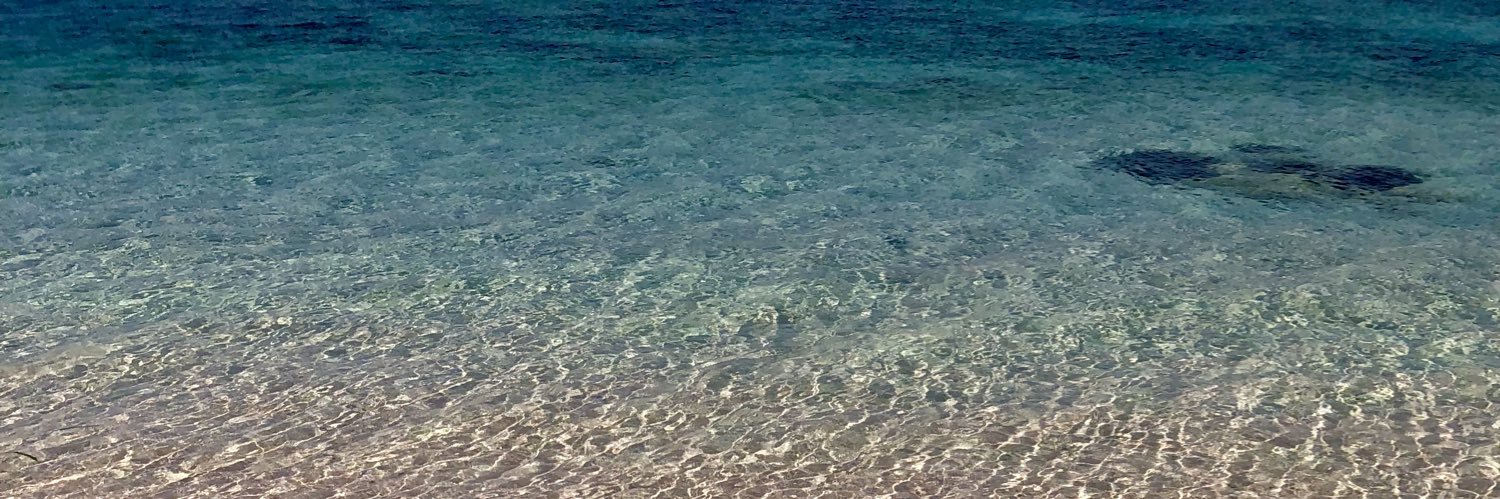 Dionisia Reni banner