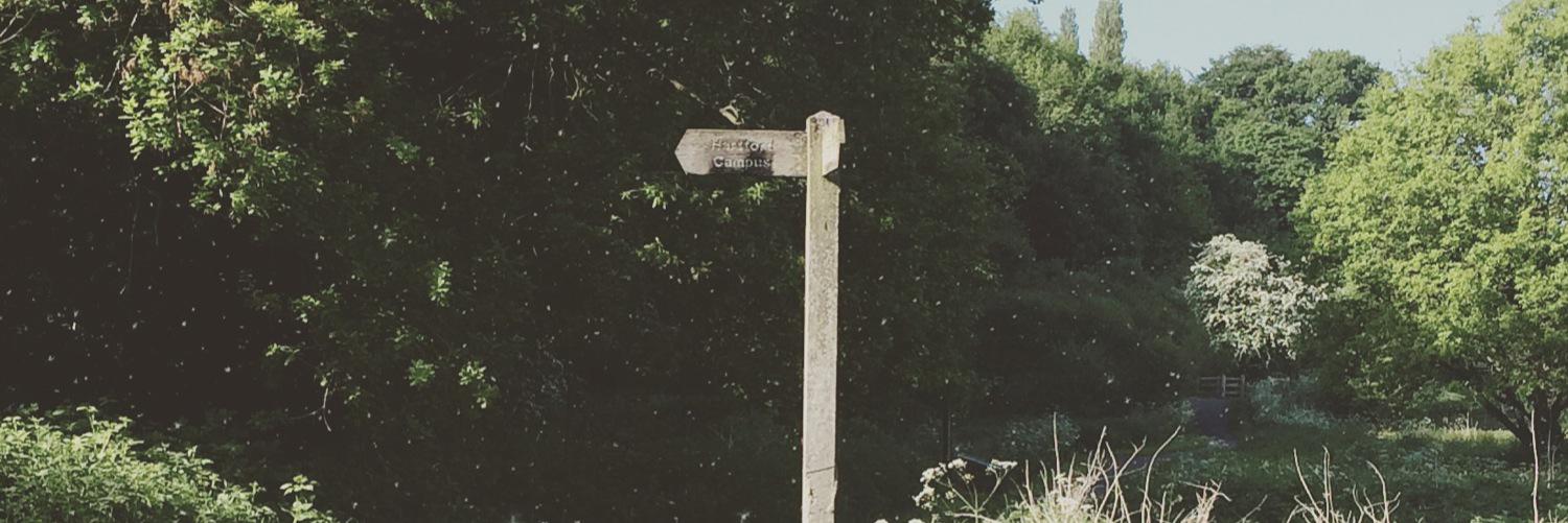 lisaboo74's profile banner image