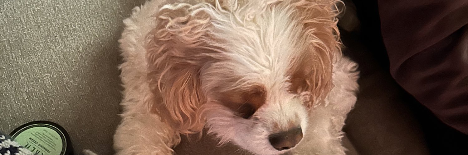 LoganDavis19's profile banner image