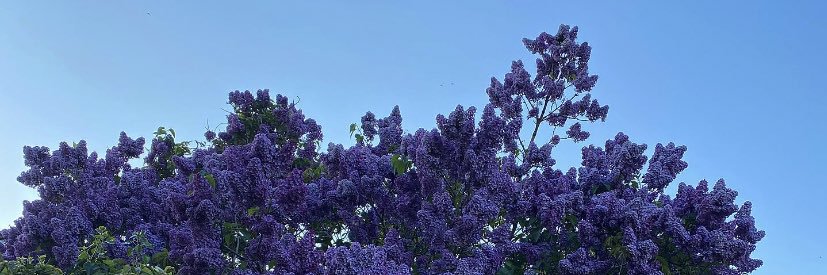 dmakep's profile banner image