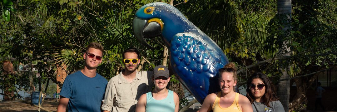 PantanalPartner's profile banner image
