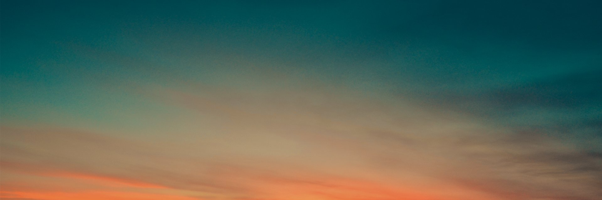 imafrickinglion's profile banner image
