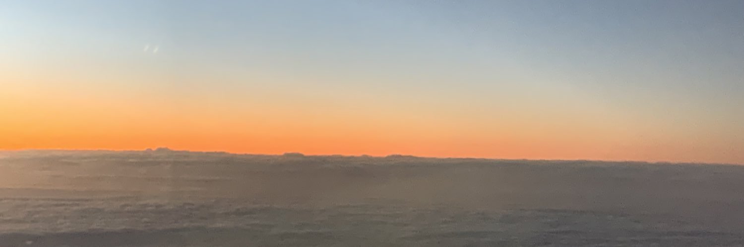 Sarah Matathia MD MPH DipABLM banner