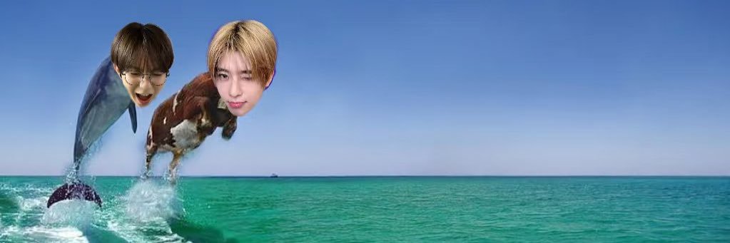 _51238's profile banner image