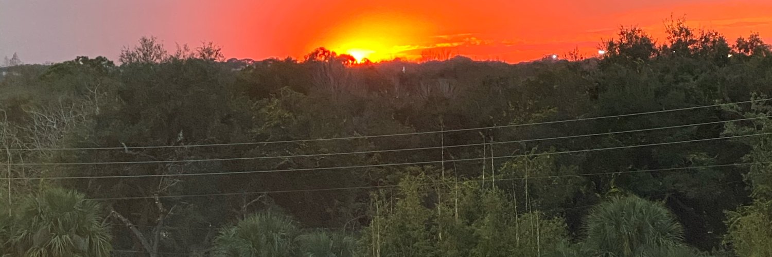 lrollin's profile banner image