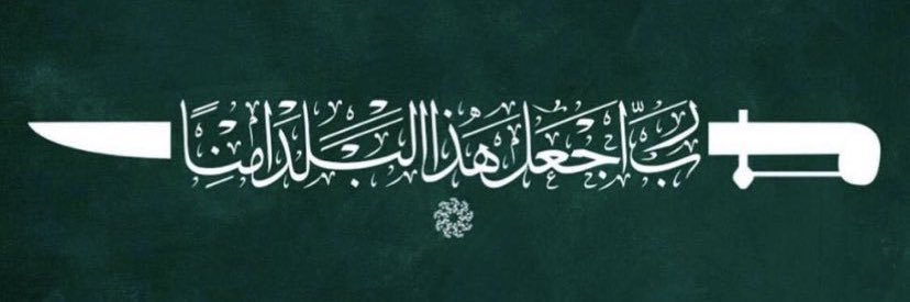 SMalidan's profile banner image