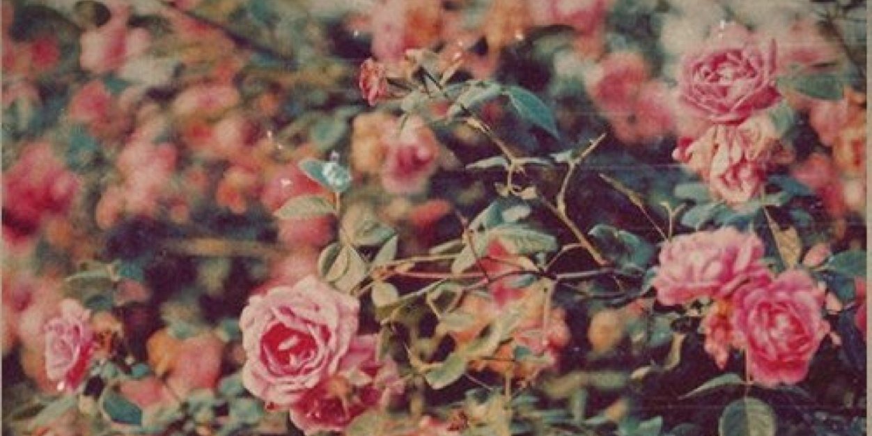 natalieeejaaane's profile banner image